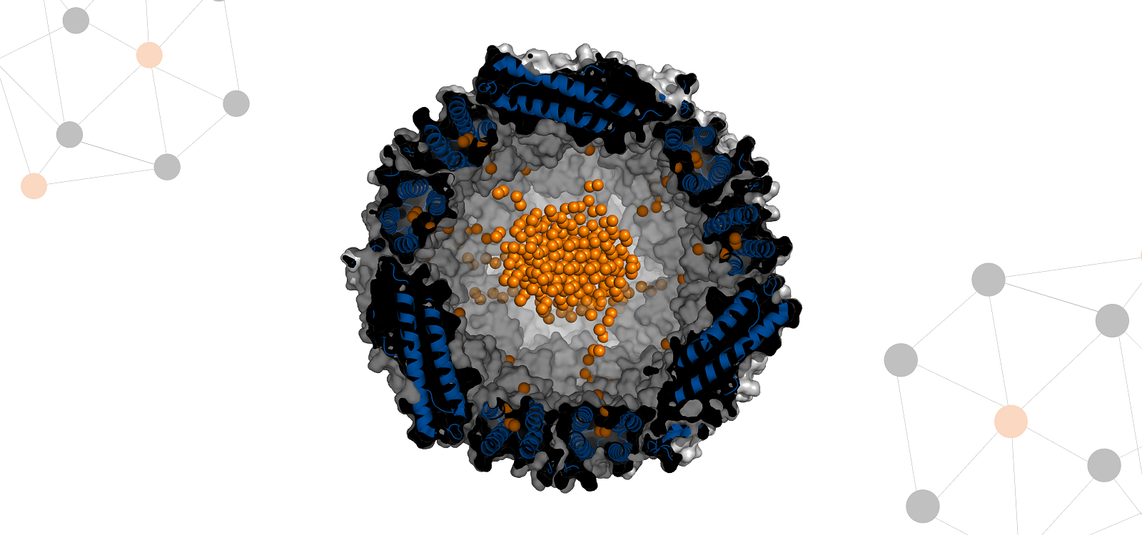 Parameter Tuesday: FERRITIN 